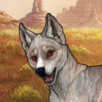 Desertpup Headshot