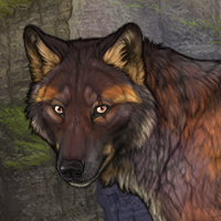 Wolf Headshot