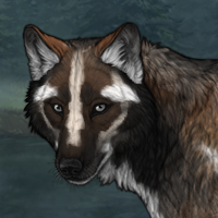 Gen4 Badger Female Headshot