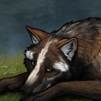 Gen4 Badger Female Headshot