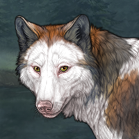 Piebald: frontal F Headshot