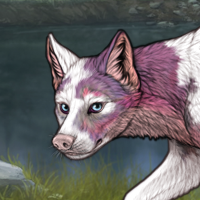 Piebald  M Headshot