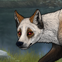 1577 Badger Headshot