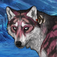 Wolf Headshot