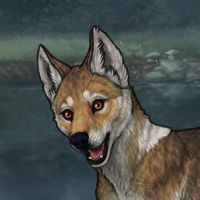 Dark Fawn - 6m Headshot