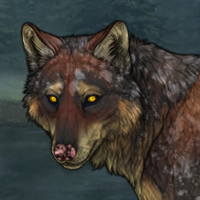 SettledAsh Headshot