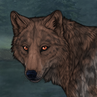 MinkPelt Headshot