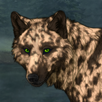 Hyenafur Headshot