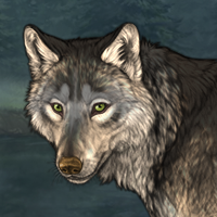 Wolf Headshot