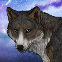 Sealgaire Headshot