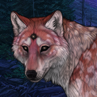 Bjald Headshot