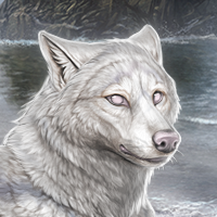 Wolf Headshot