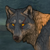 Wolf Headshot