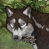 Arcticwinds Headshot
