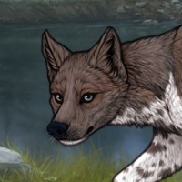 Piebald: zerdava Headshot