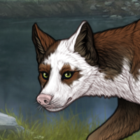 Brown Piebald Torn 3m Headshot