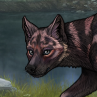 Black Shuck Headshot