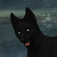 Melanism VIII Headshot