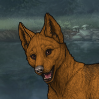 New Runt Puppy (Enclave) Headshot