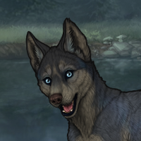 Luna pup T2 Headshot