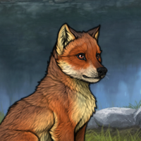 Huron's Fox Headshot