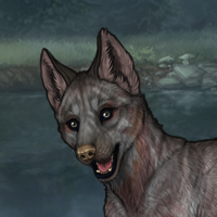 Melanism carrier Headshot