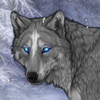 Wolf Headshot