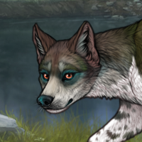 Piebald: Zerdava Headshot