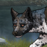 Piebald: Zerdava Headshot