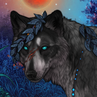 Wolf Headshot