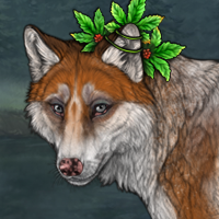 FoxPatches Headshot