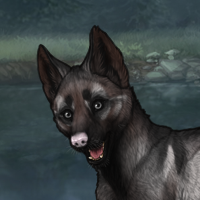 ((Pup))Chestnut; 5M Headshot