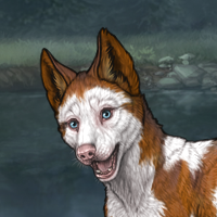 Piebald: Frontal Headshot