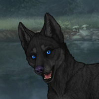 Darkpup Headshot