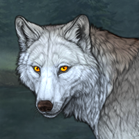 Wolf Headshot