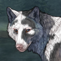 Piebald Uneven  M Headshot