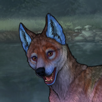 Dyed Pelt Headshot