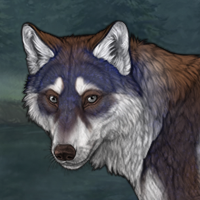 A wolf doomed to healing Headshot
