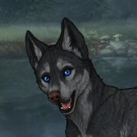 Enclave Pup Headshot