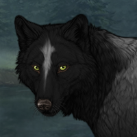 Wolf Headshot