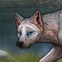 T3 Opal Female Pup Headshot