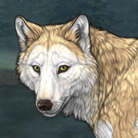 Wolf Headshot