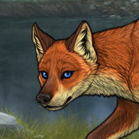 male no markings fox Headshot