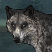 calcareus Headshot