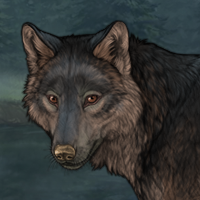 Wolf Headshot