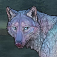 Galactic Winterwolf Headshot