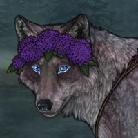 Song of Lavender Headshot