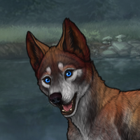 ((Pup))Sell Headshot