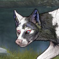 Piebald: Uneven Headshot