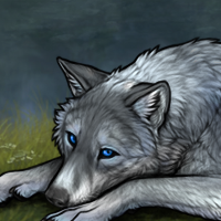 Grey Skies~ 496 [C] Headshot